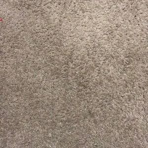 Meet your Posher, Ella